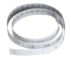 Disposable Tape Measure (72in)