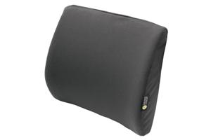 The Comfort Company Molded Lumbar Support Pad